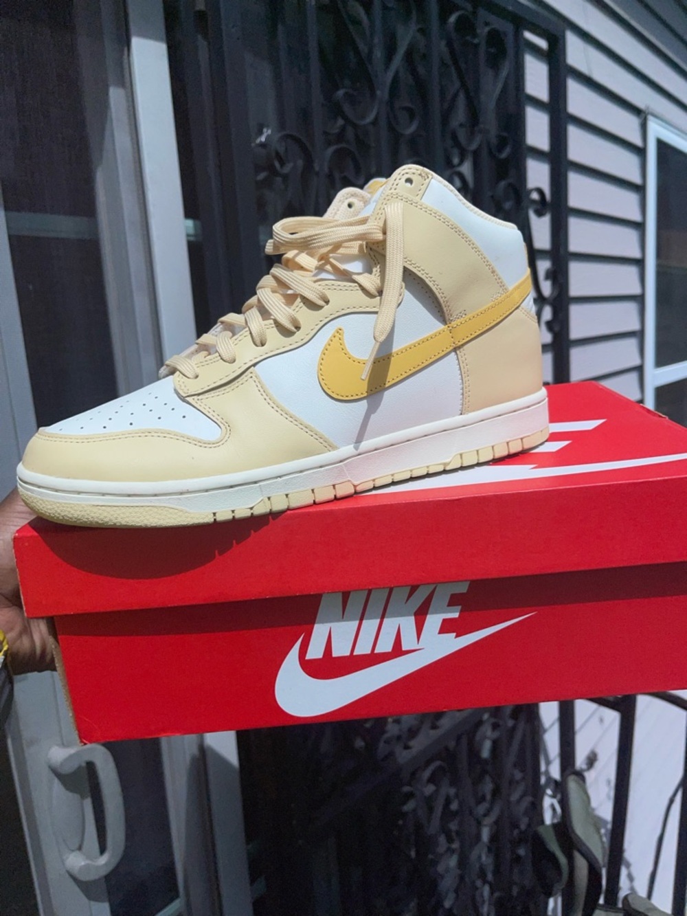 Women Nike Dunk High